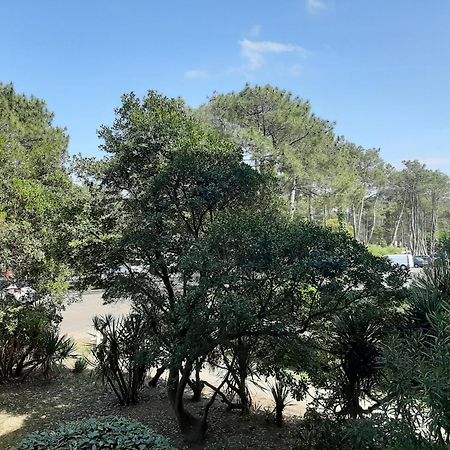 Studio Cosy Proche Ocean Et Commerces, Parfait Pour Des Vacances A Deux! - Fr-1-239-437 Seignosse Εξωτερικό φωτογραφία