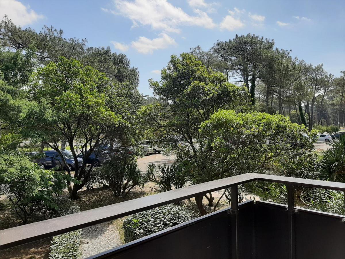 Studio Cosy Proche Ocean Et Commerces, Parfait Pour Des Vacances A Deux! - Fr-1-239-437 Seignosse Εξωτερικό φωτογραφία