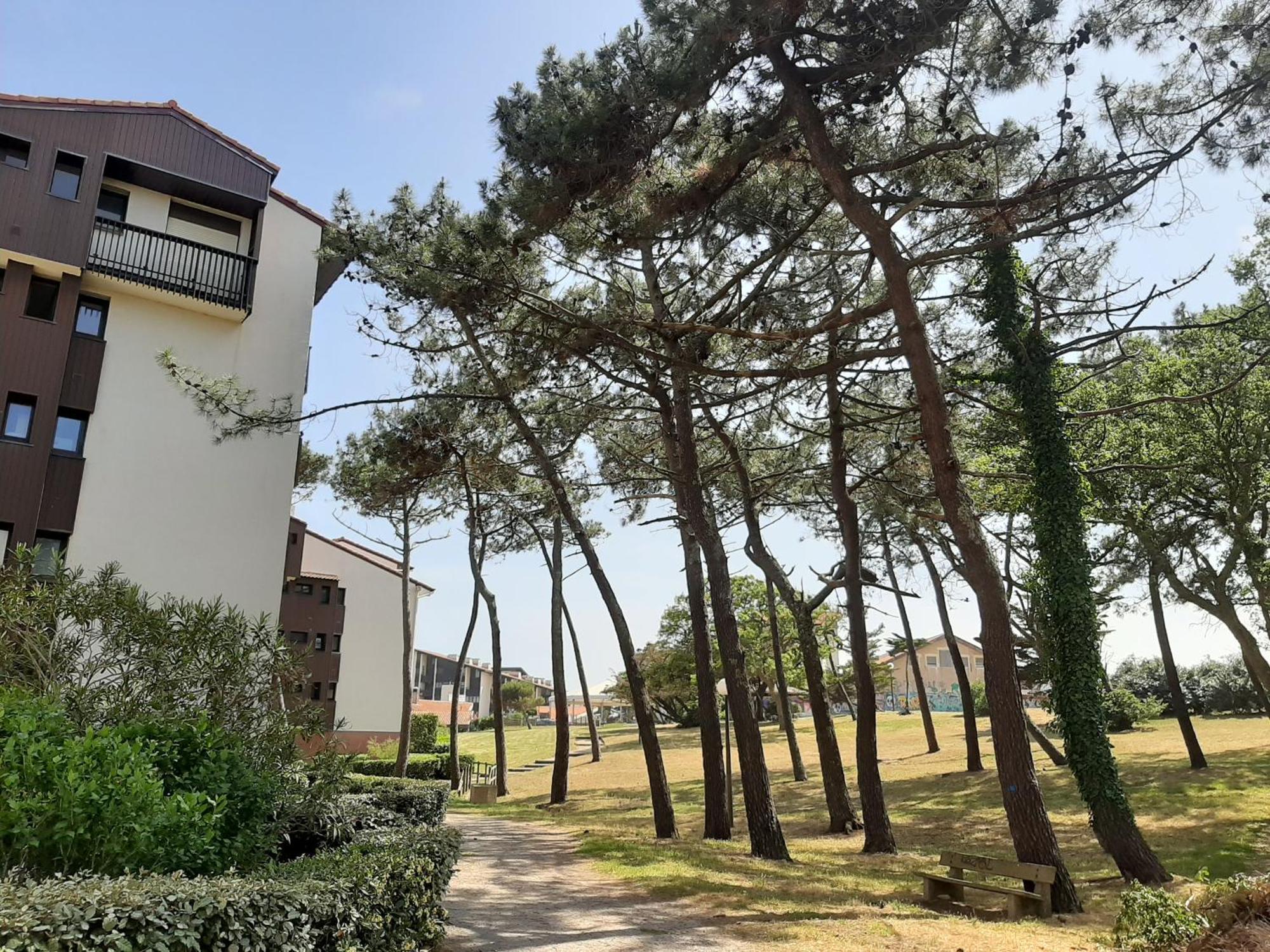 Studio Cosy Proche Ocean Et Commerces, Parfait Pour Des Vacances A Deux! - Fr-1-239-437 Seignosse Εξωτερικό φωτογραφία